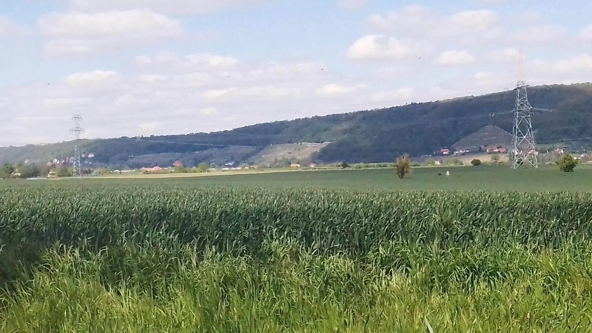 Dresden-Entspannung-Natur-Trifft-2-Staedte-Am-Fluss Проживание в семье